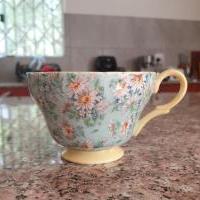 Test tea cup